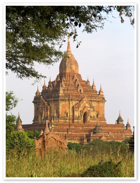 Tempel - Bagan